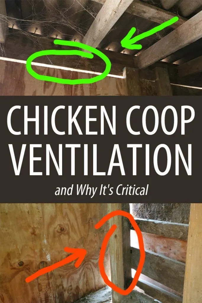 54543 chicken coop ventilation 6