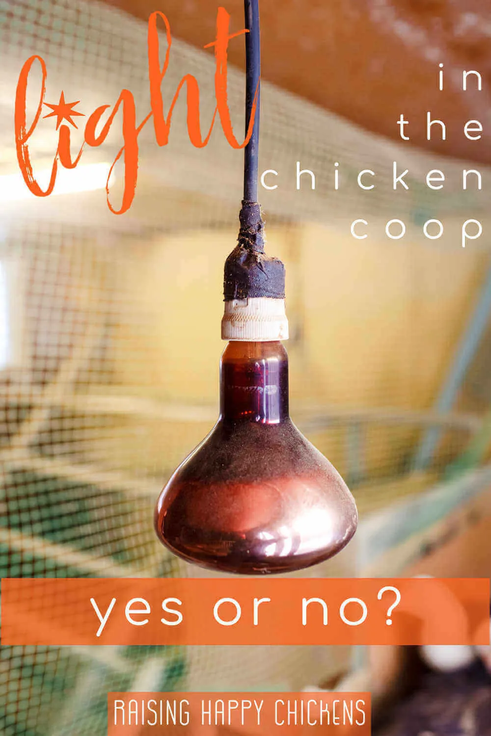 54544 inspecting chicken coop lighting