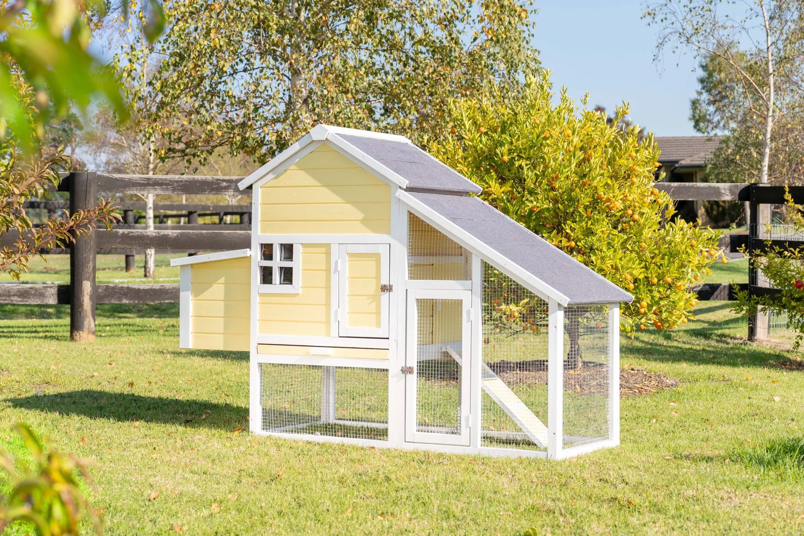 54547 chicken coop paint color ideas