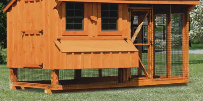 /img/54548-chicken-coop-run.webp